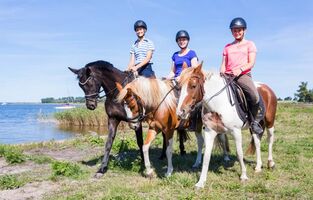 Ausritte an der Ostseelagune bei den Reiterferien